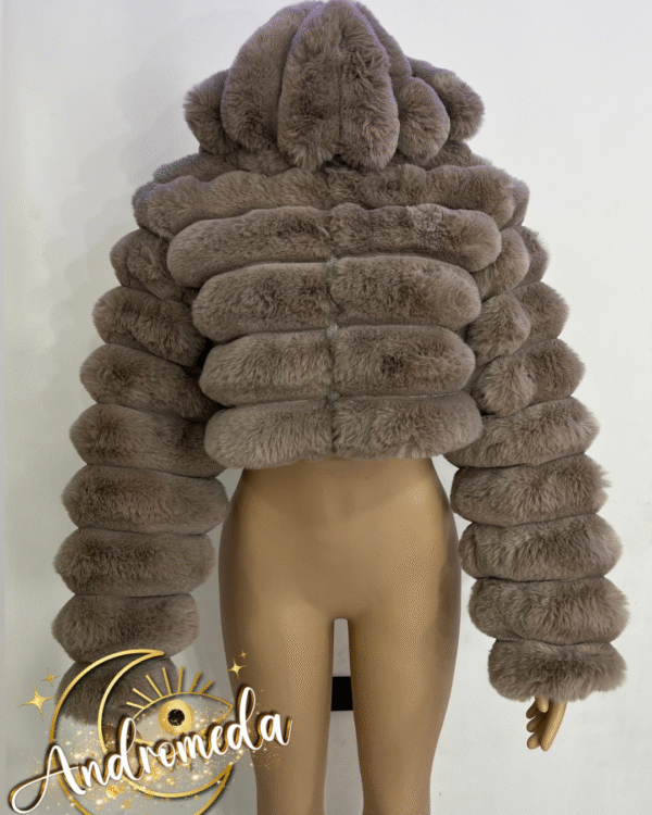 Teddys - Image 4